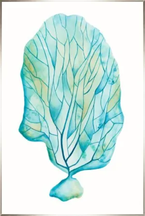 Brilliant Coral II