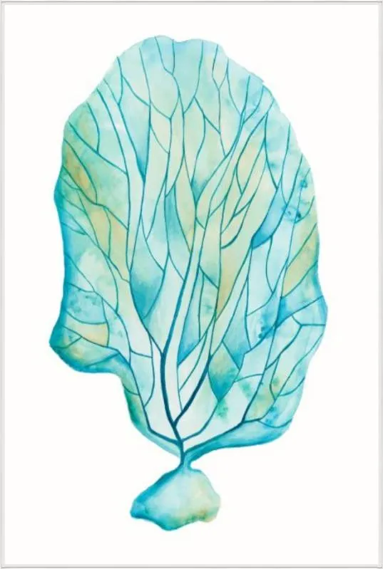 Brilliant Coral II