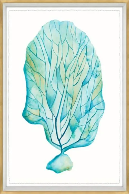 Brilliant Coral II