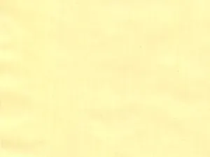 Brilliant Yellow Extra Pale artists oil color