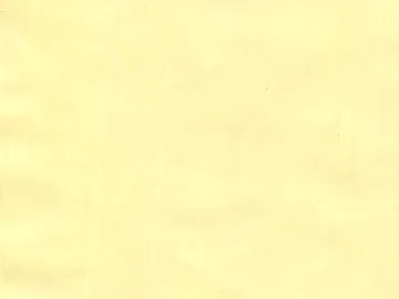 Brilliant Yellow Extra Pale artists oil color