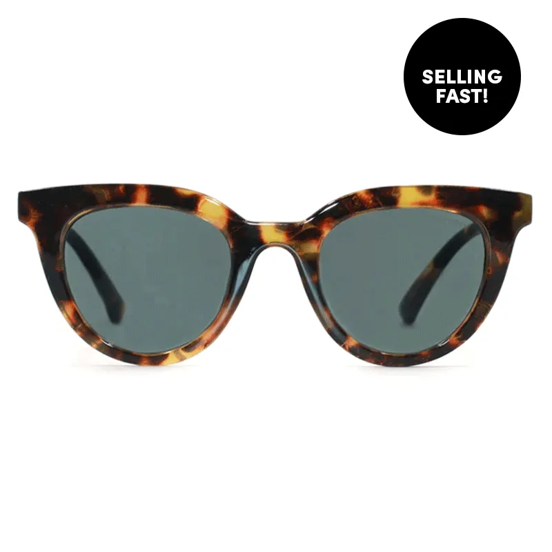 Brittany - Tortoise Shell