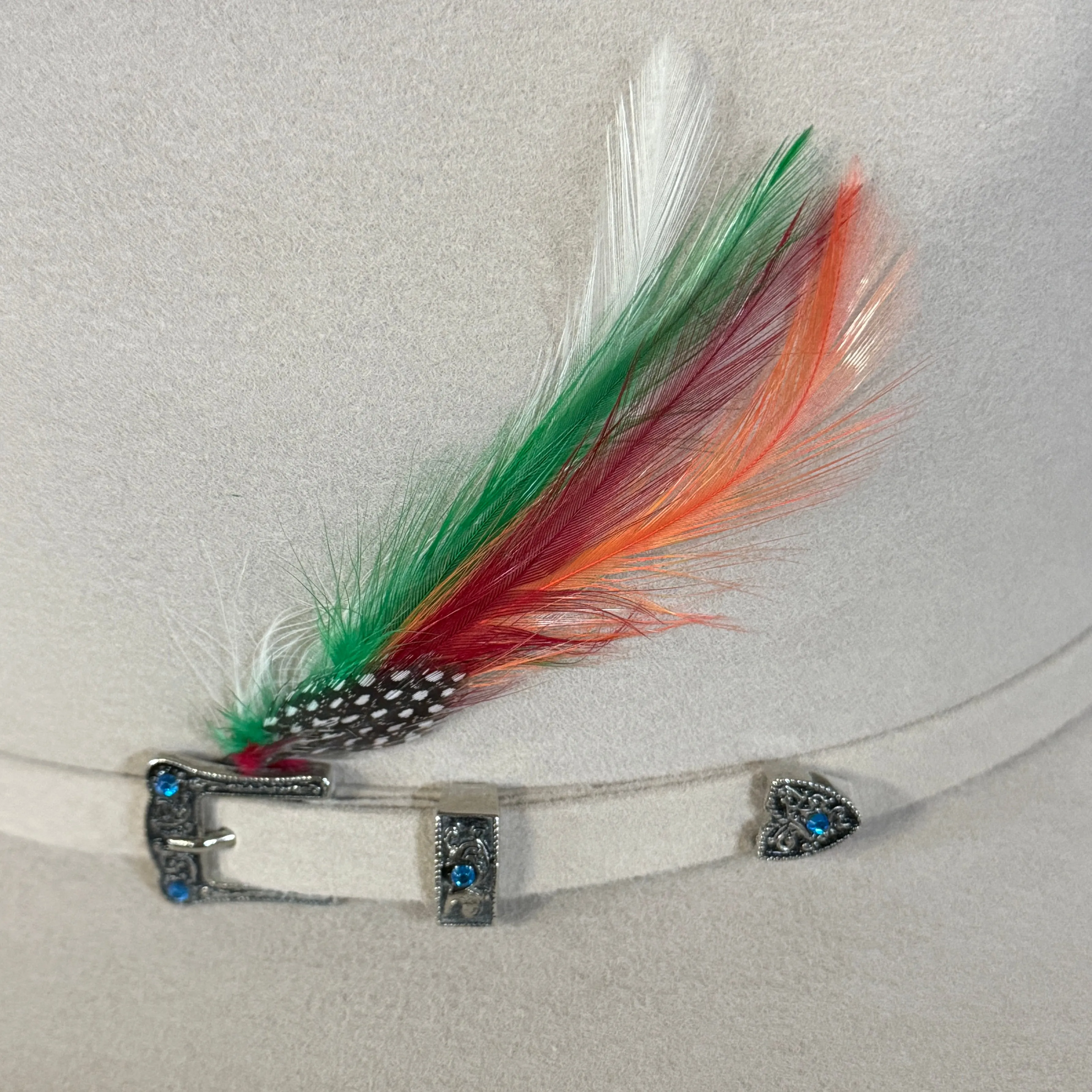 Chihuahua - Silver Belly