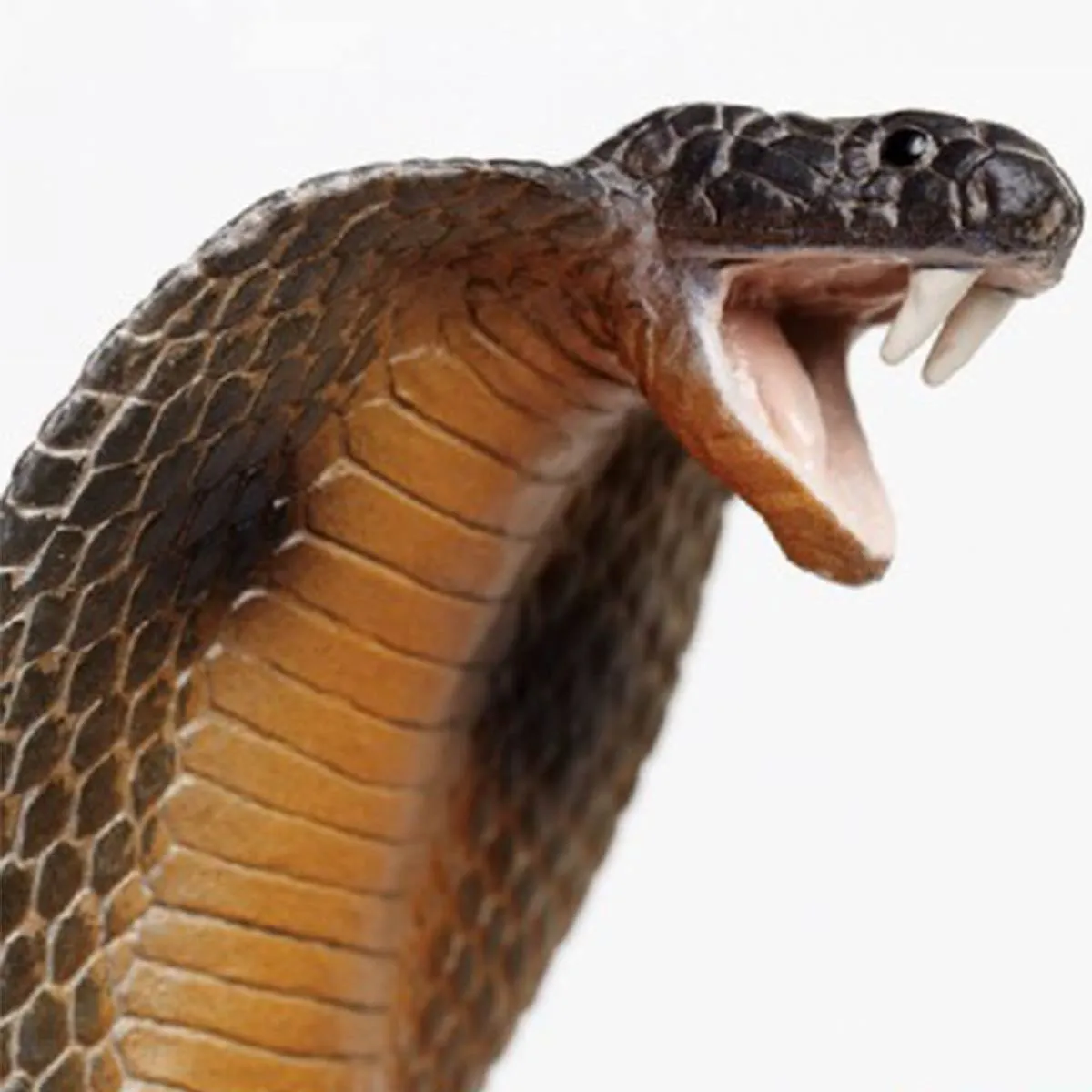 Cobra Incredible Creatures Figure Safari Ltd