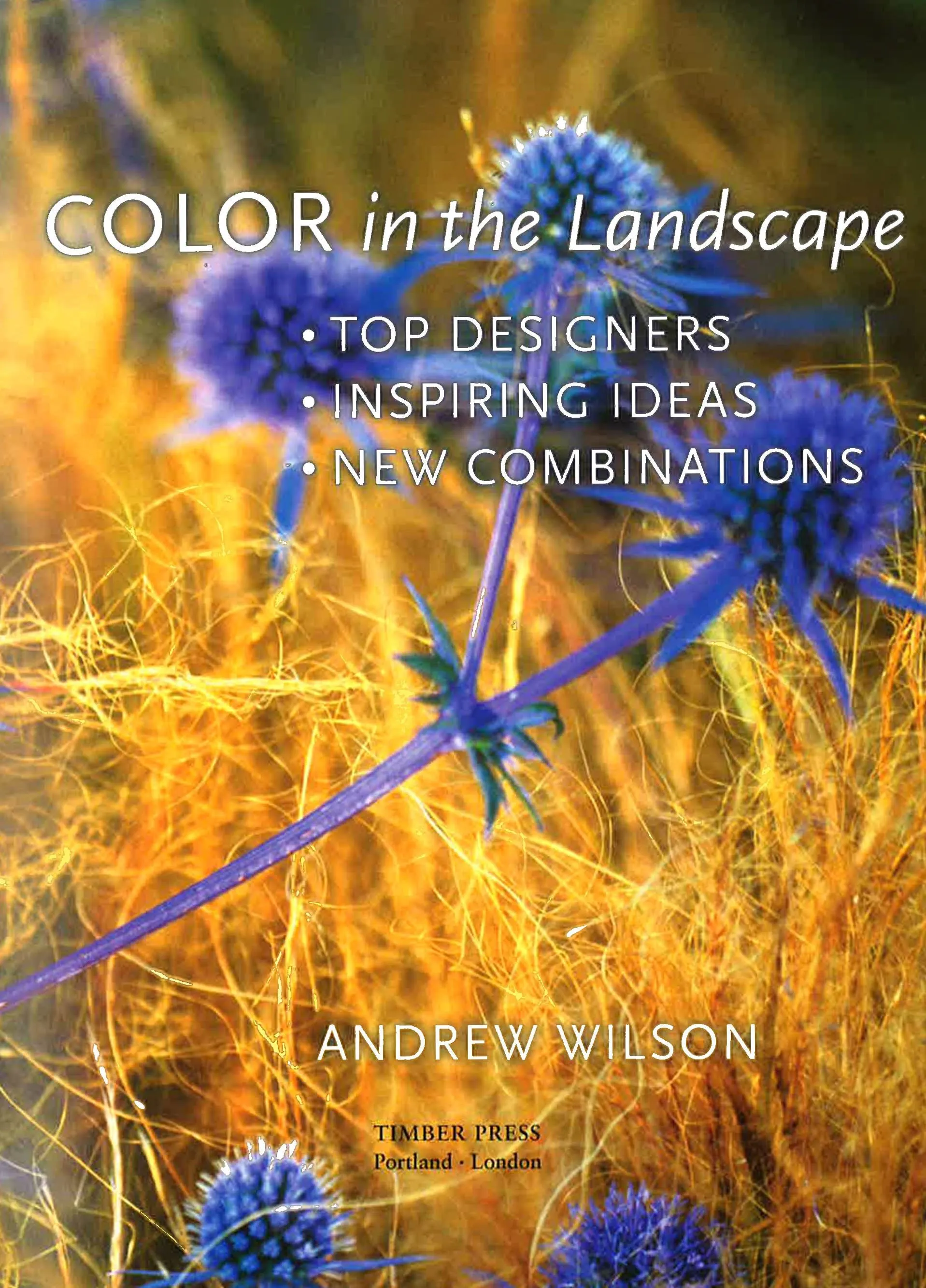 Contemporary Color In The Landscape