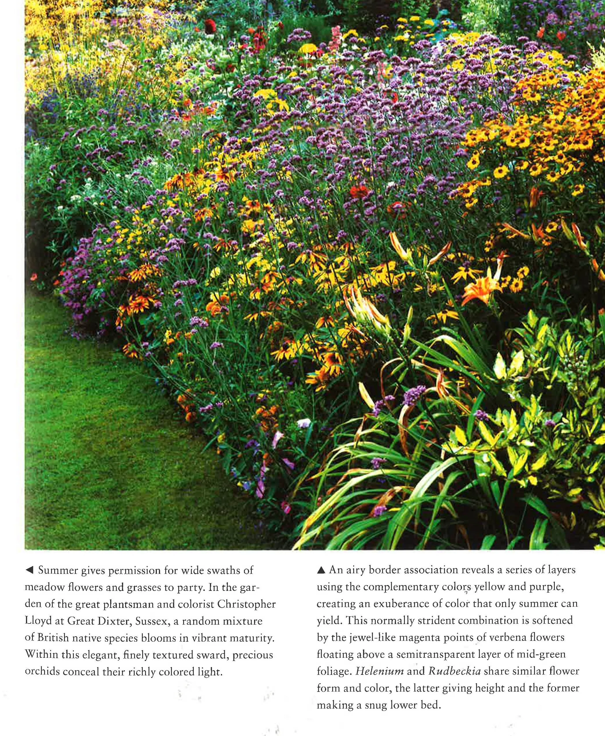 Contemporary Color In The Landscape