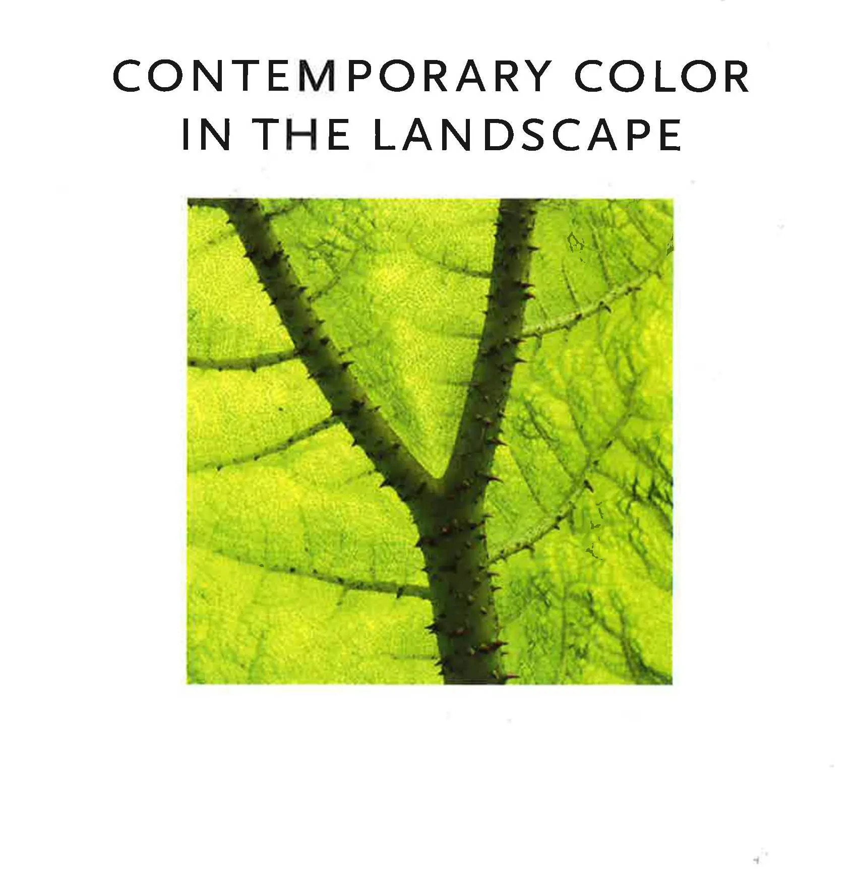 Contemporary Color In The Landscape