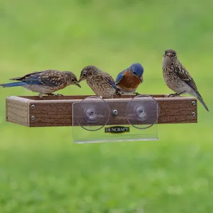 Duncraft Eco-Friendly Window Buffet Feeder