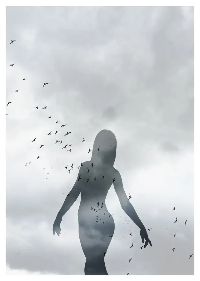 Girl With Birds Print