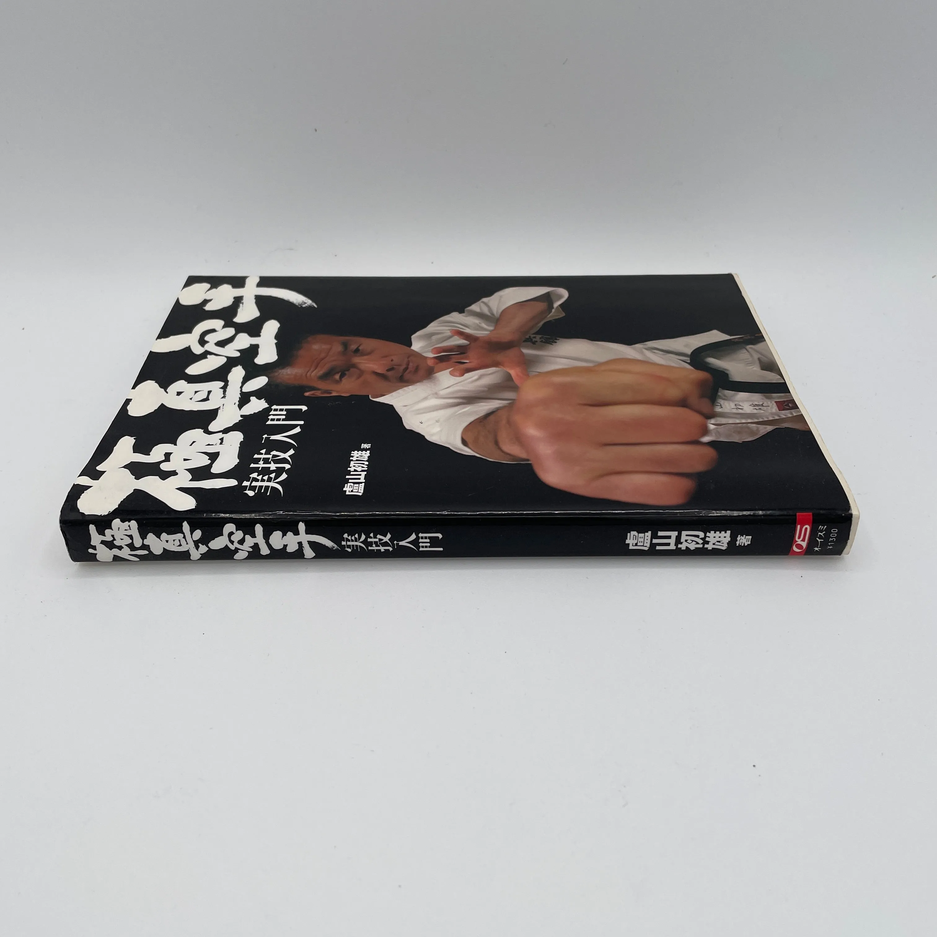 Intro to Kyokushin Karate Striking Book by Hatsuo Royama (Preowned)