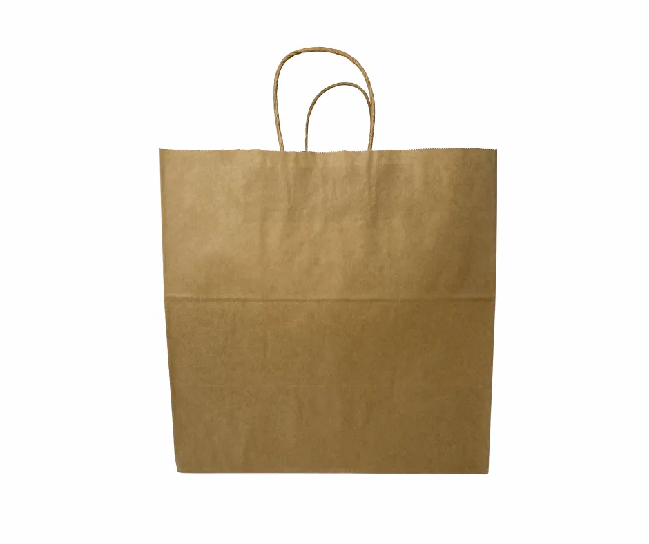 Kraft Paper Take-Out Bag (250pcs) | Medium Paper Bag | PTH Handle | 11" X 11" X 6"