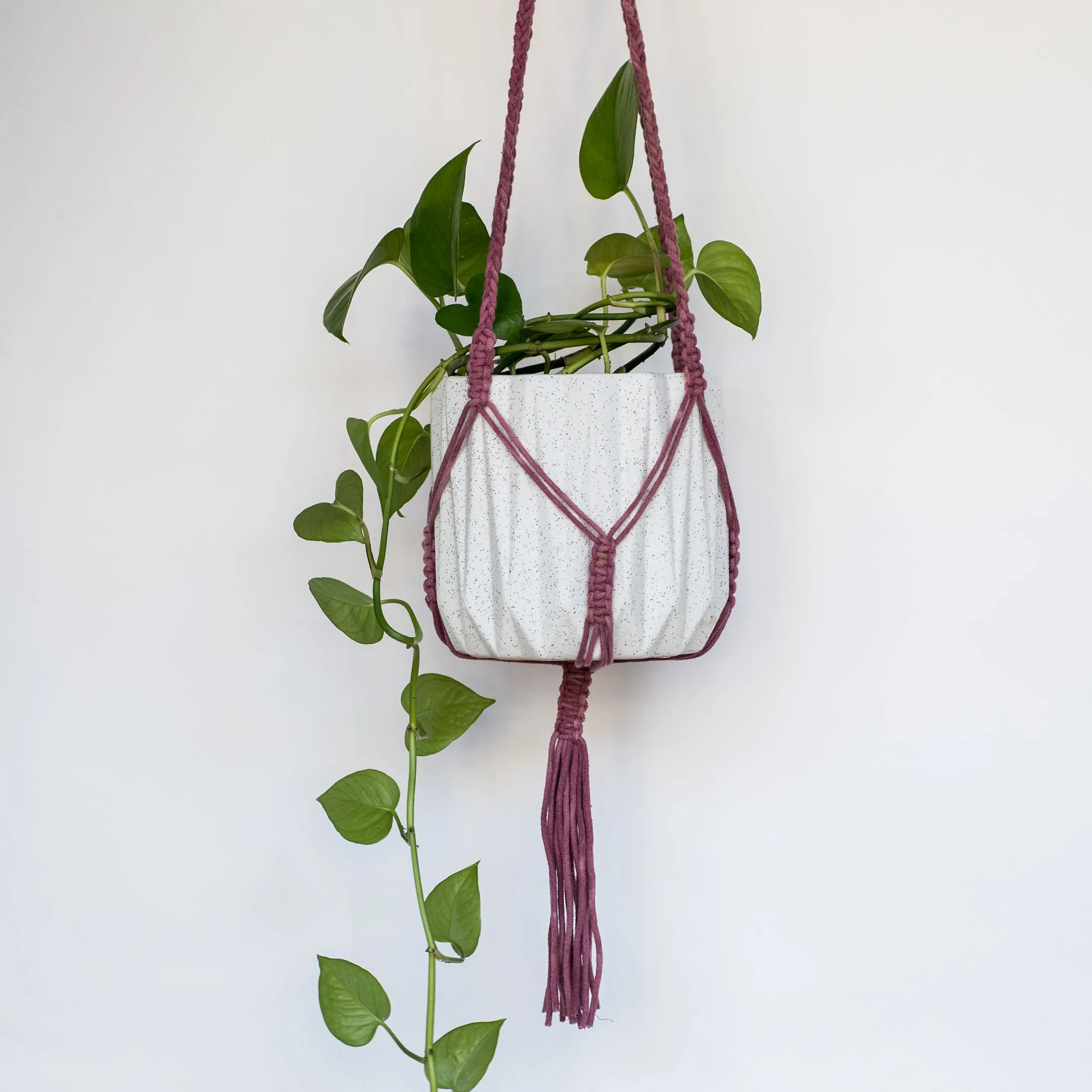 Macramé Hanging Planter