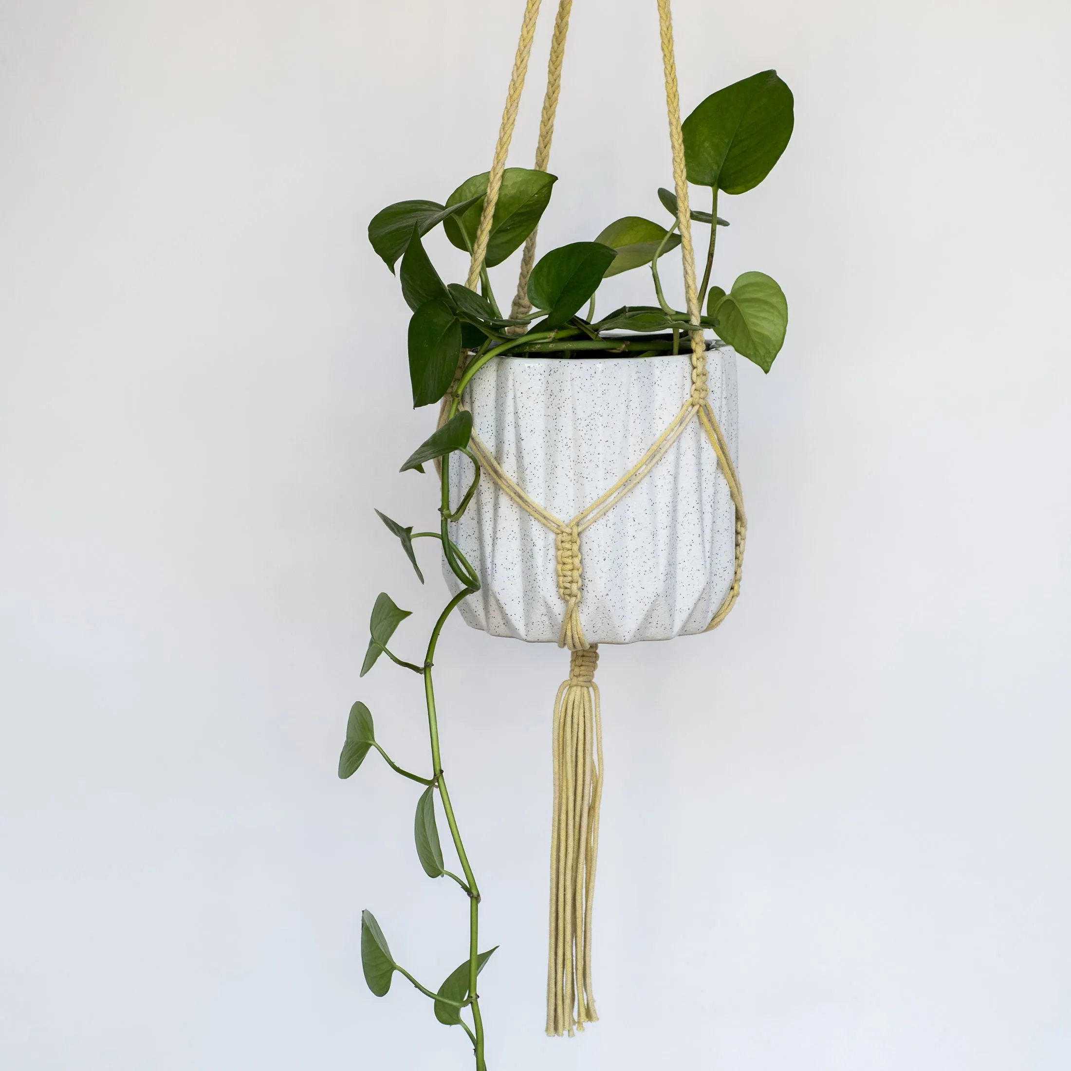 Macramé Hanging Planter