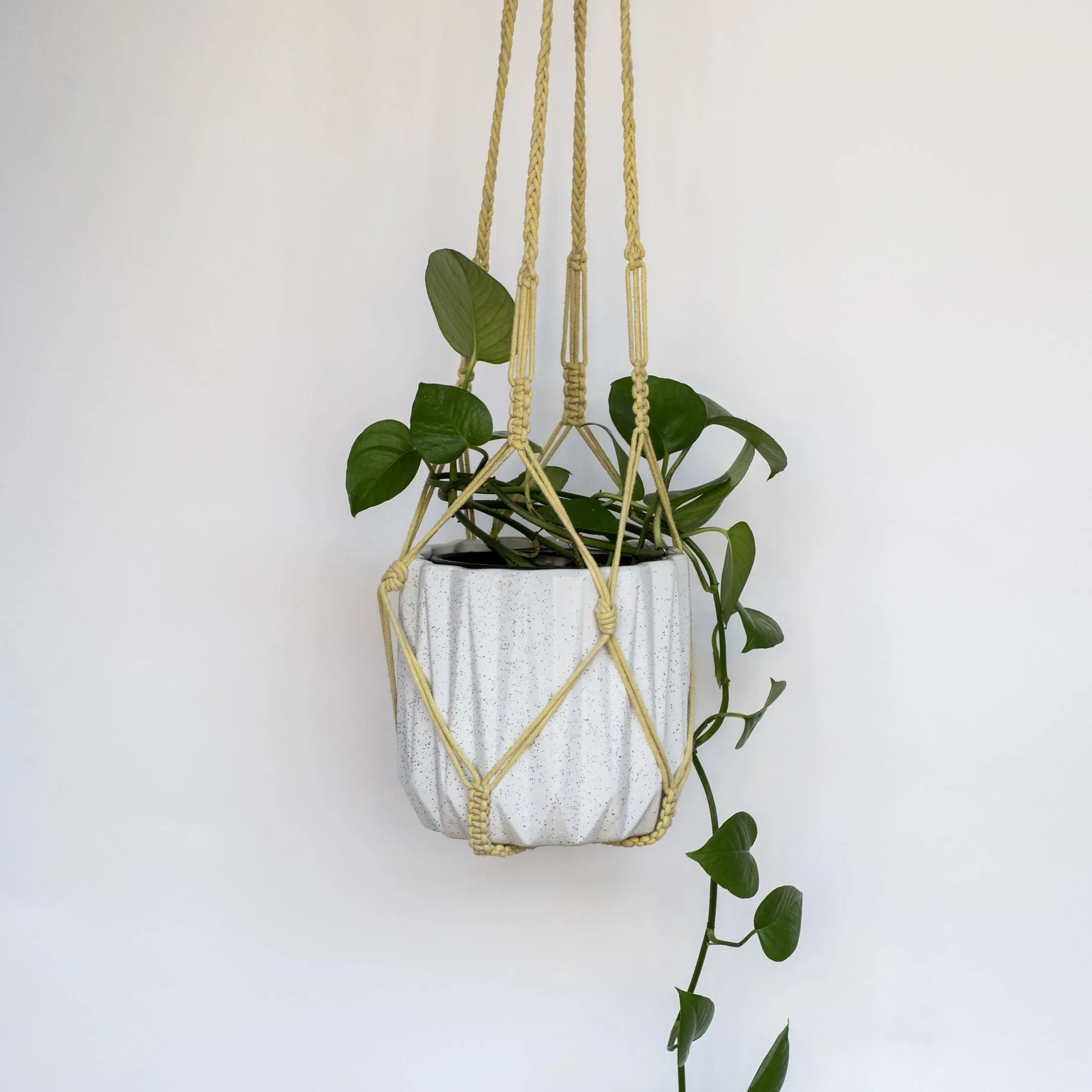Macramé Hanging Planter