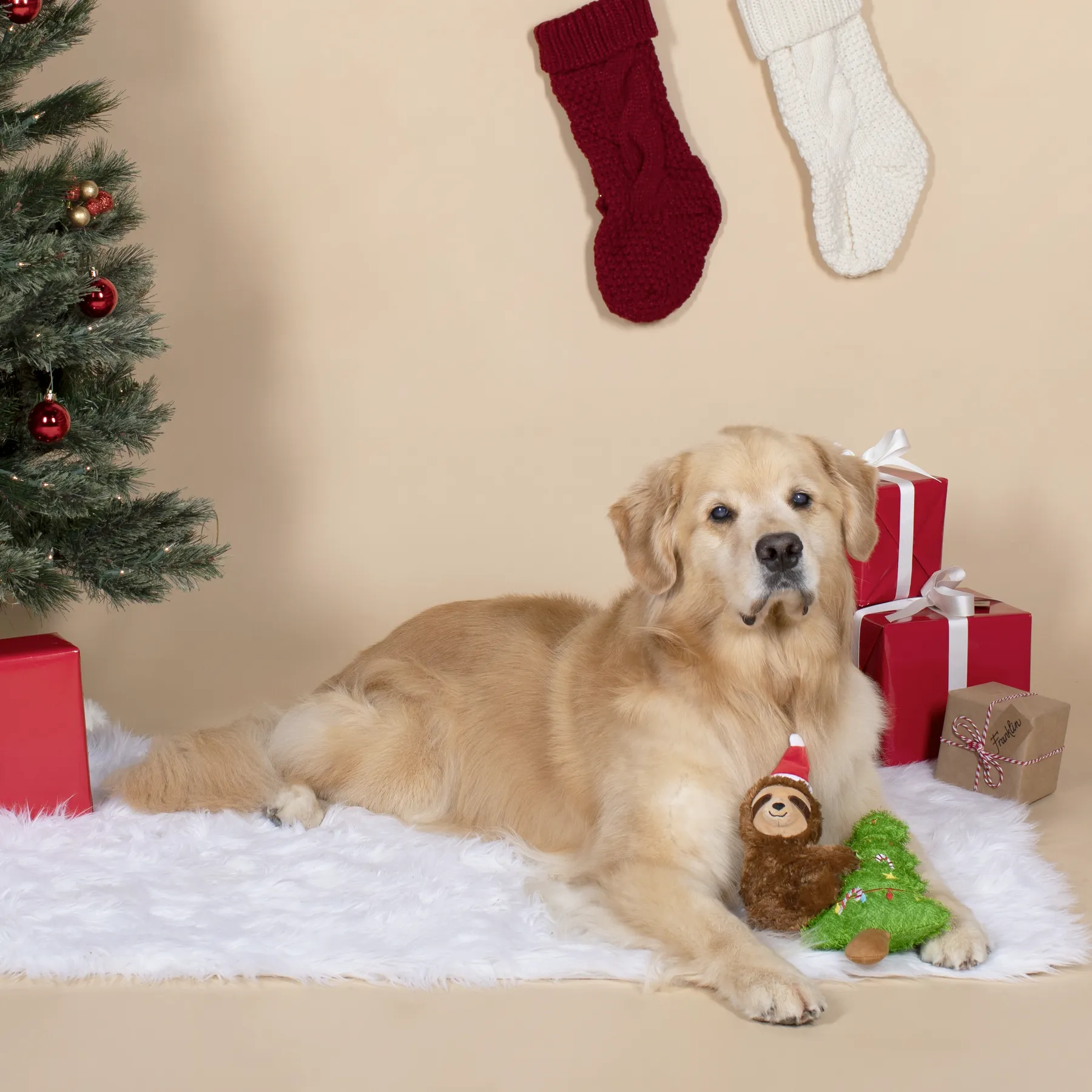 Merry Slothmas Squeaky Plush Toy