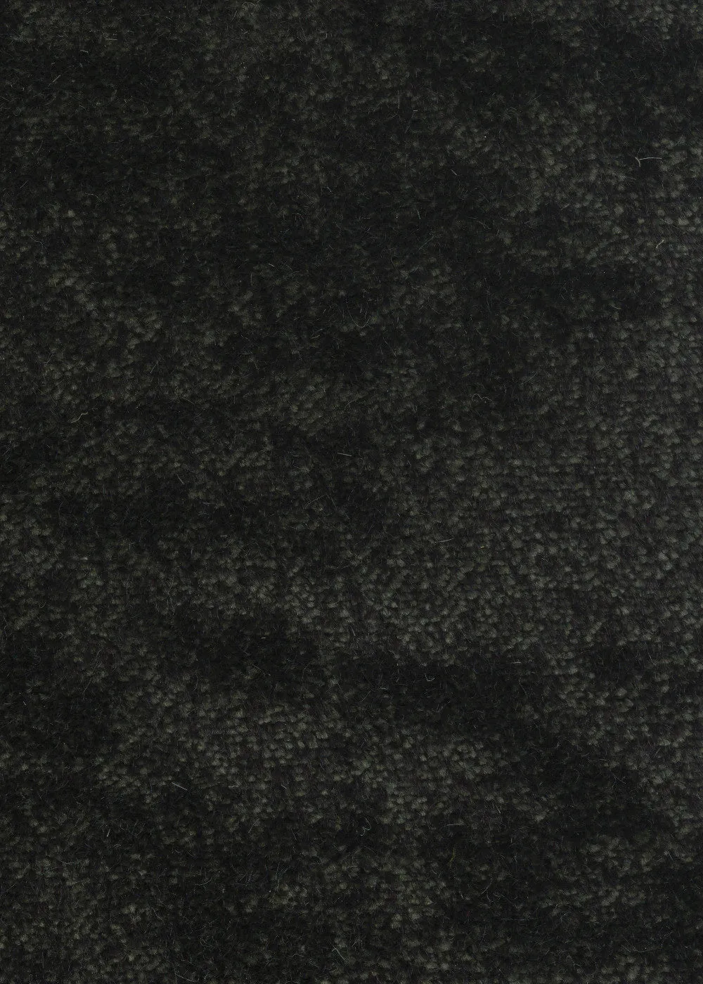 Sealskin Velvet