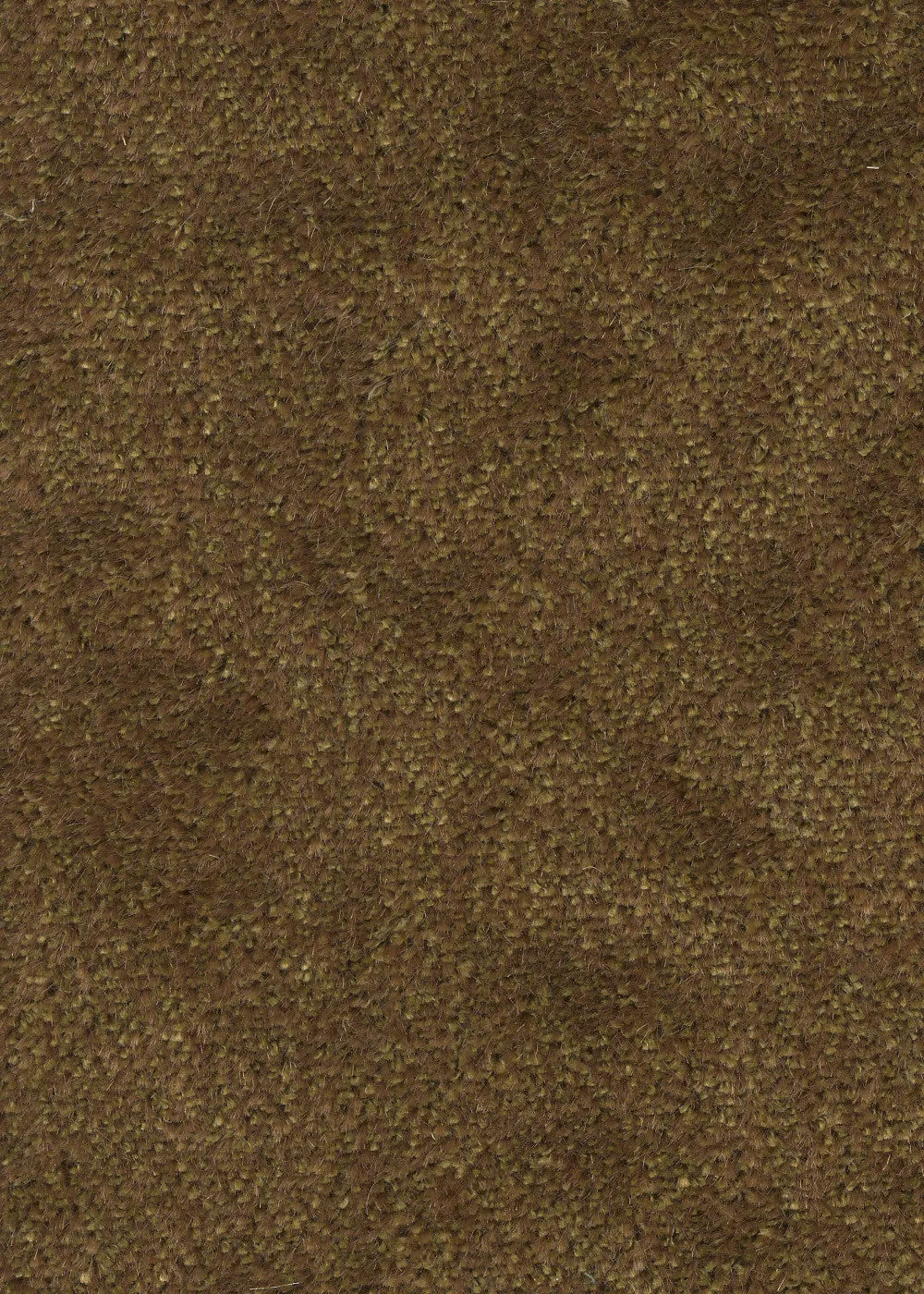 Sealskin Velvet