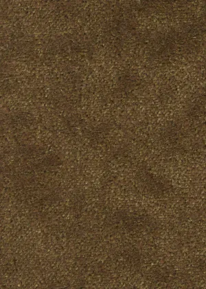Sealskin Velvet