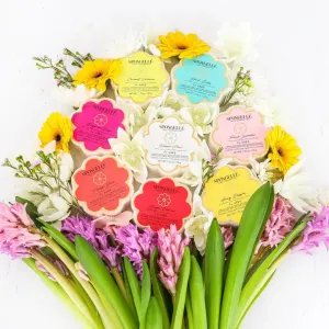 SPO Daisy Spongette Assorted