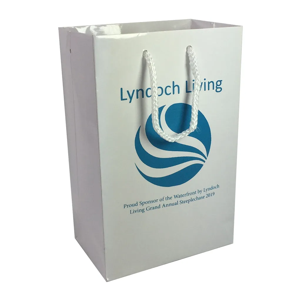 Stock Laminated Paper Carry Bag-Small(SLP-02T)