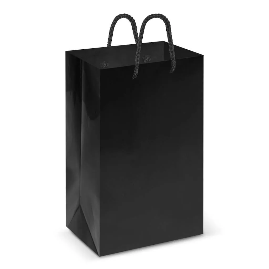 Stock Laminated Paper Carry Bag-Small(SLP-02T)