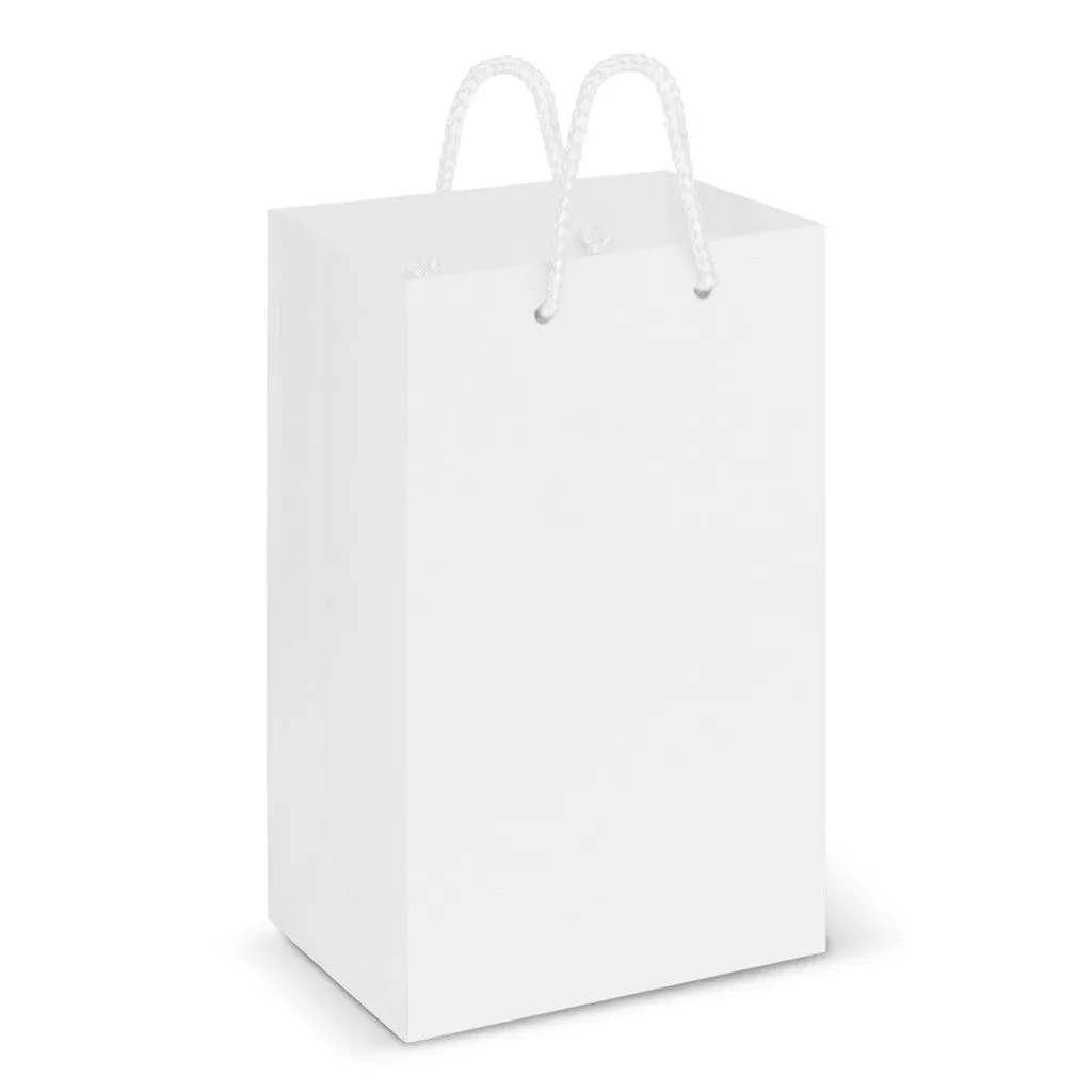 Stock Laminated Paper Carry Bag-Small(SLP-02T)