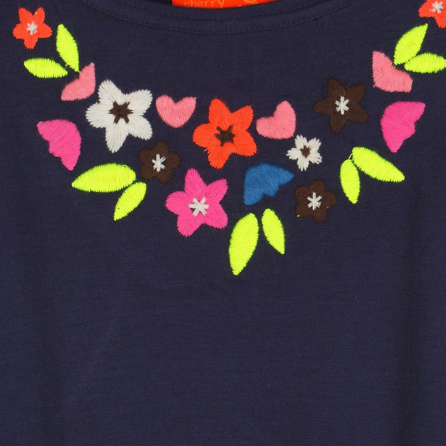 Striking Embroidery Dress