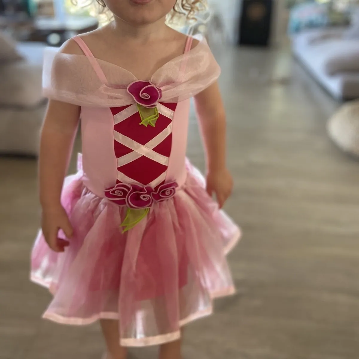 Toddler Princess Dress