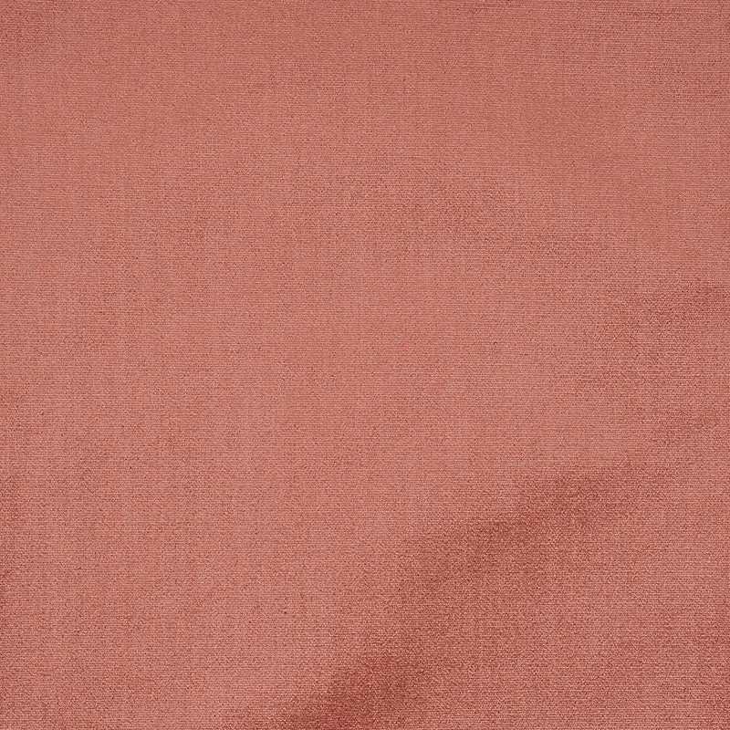 Venetian silk velvet | Cameo