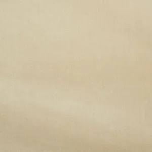 Venetian silk velvet | Pearl