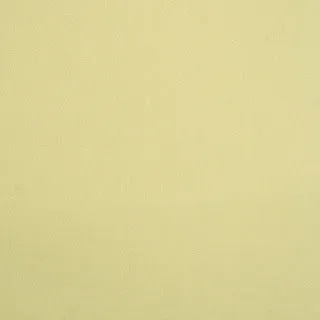 Wool Felt Solids 13 Light Olive
