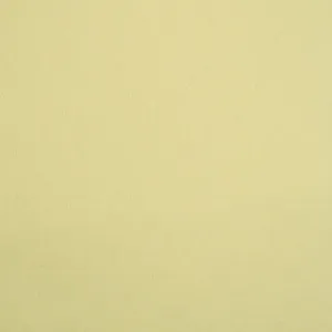 Wool Felt Solids 13 Light Olive