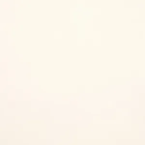 Wool Felt Solids 56 White